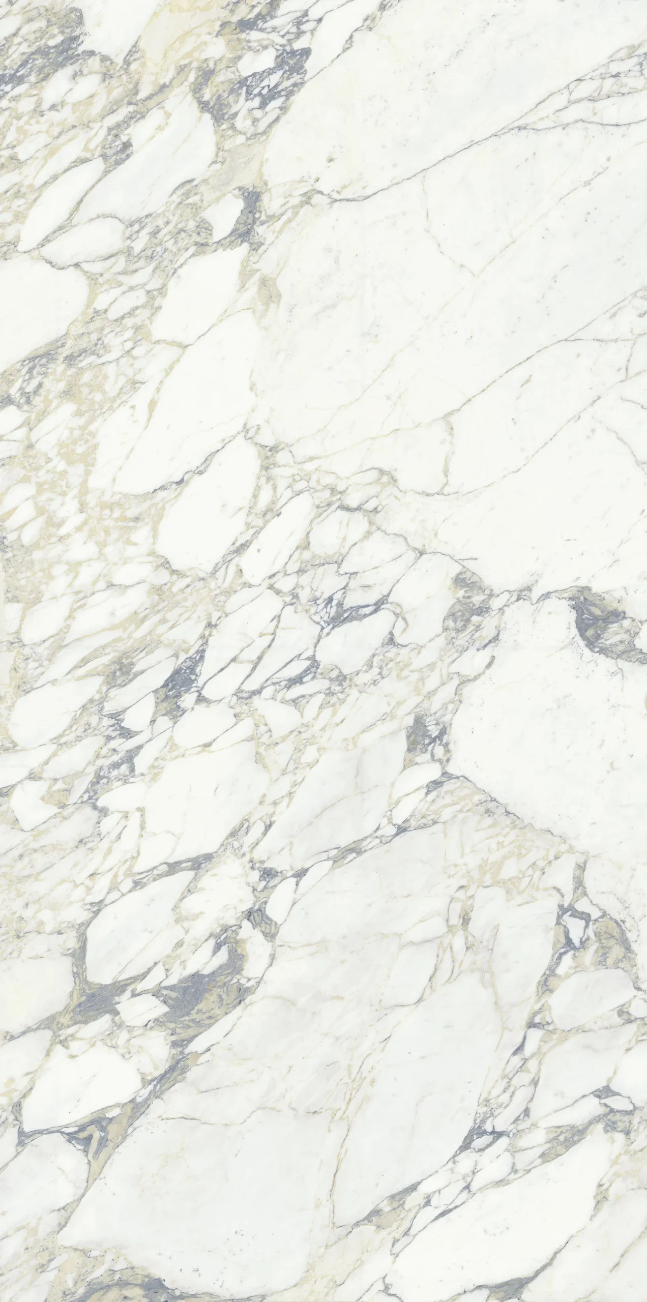 MARMI MAXFINE Arabescato Block A