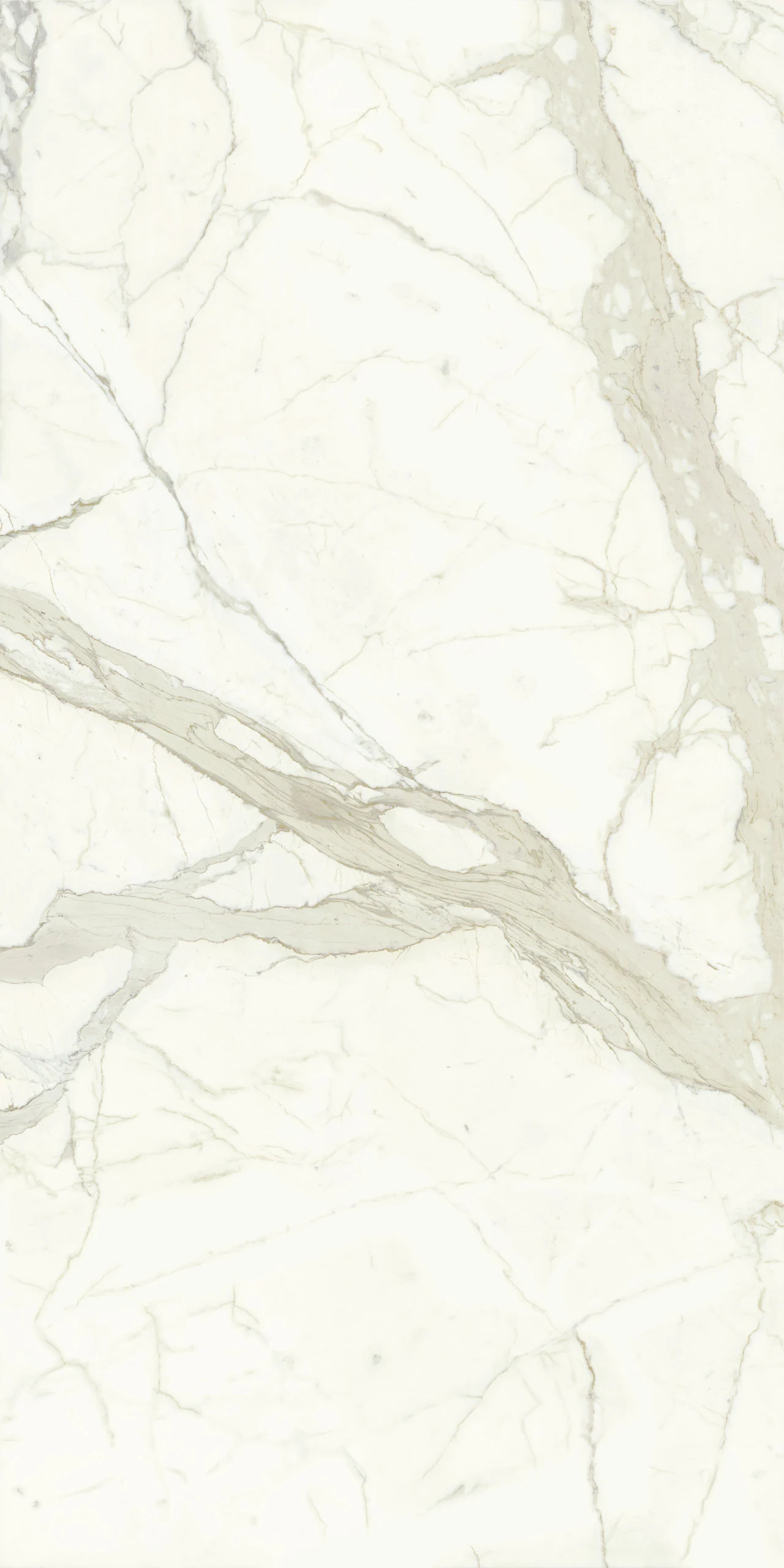 MARMI MAXFINE calacatta