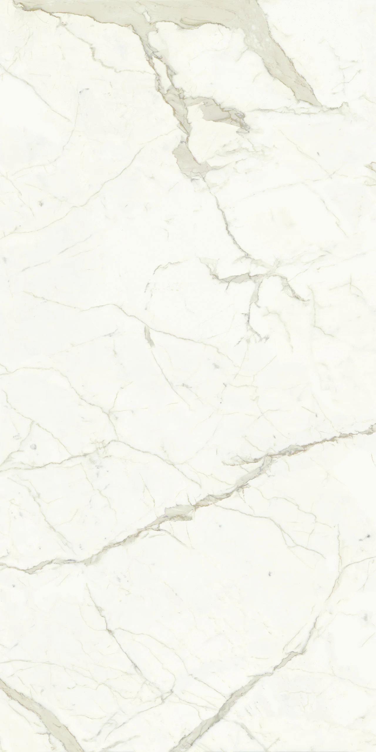MARMI MAXFINE calacatta