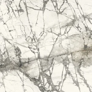 Calacatta Grey