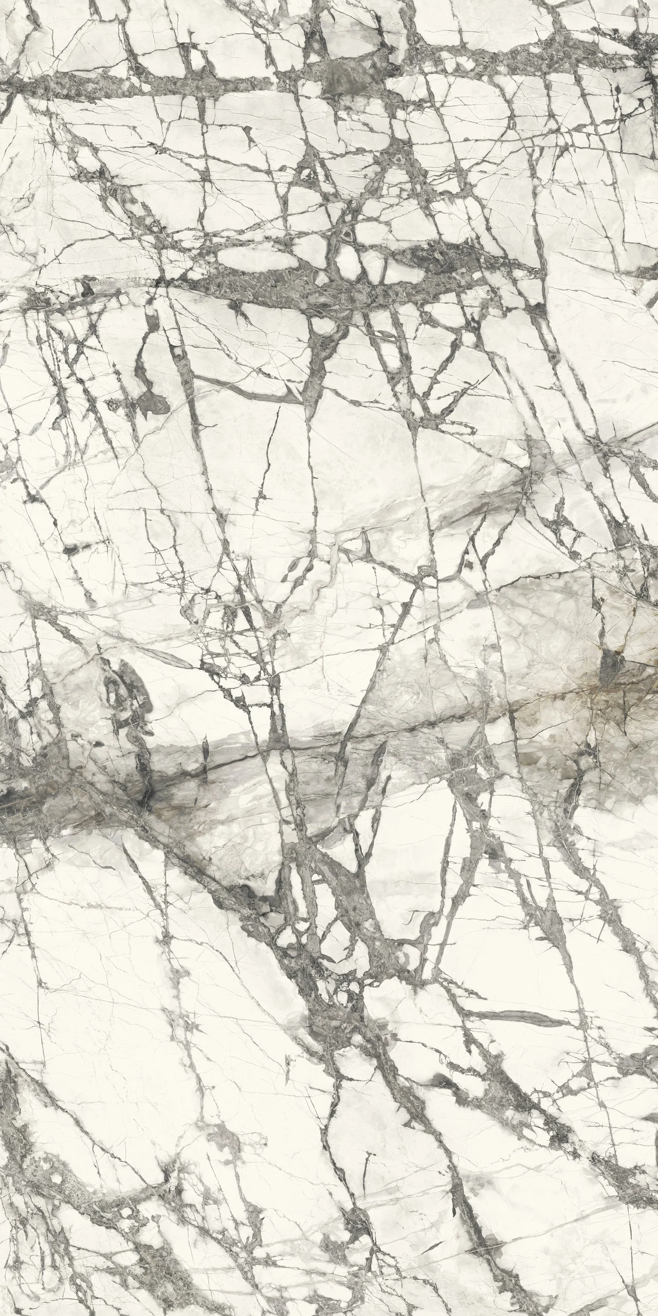 MARMI MAXFINE Calacatta Grey