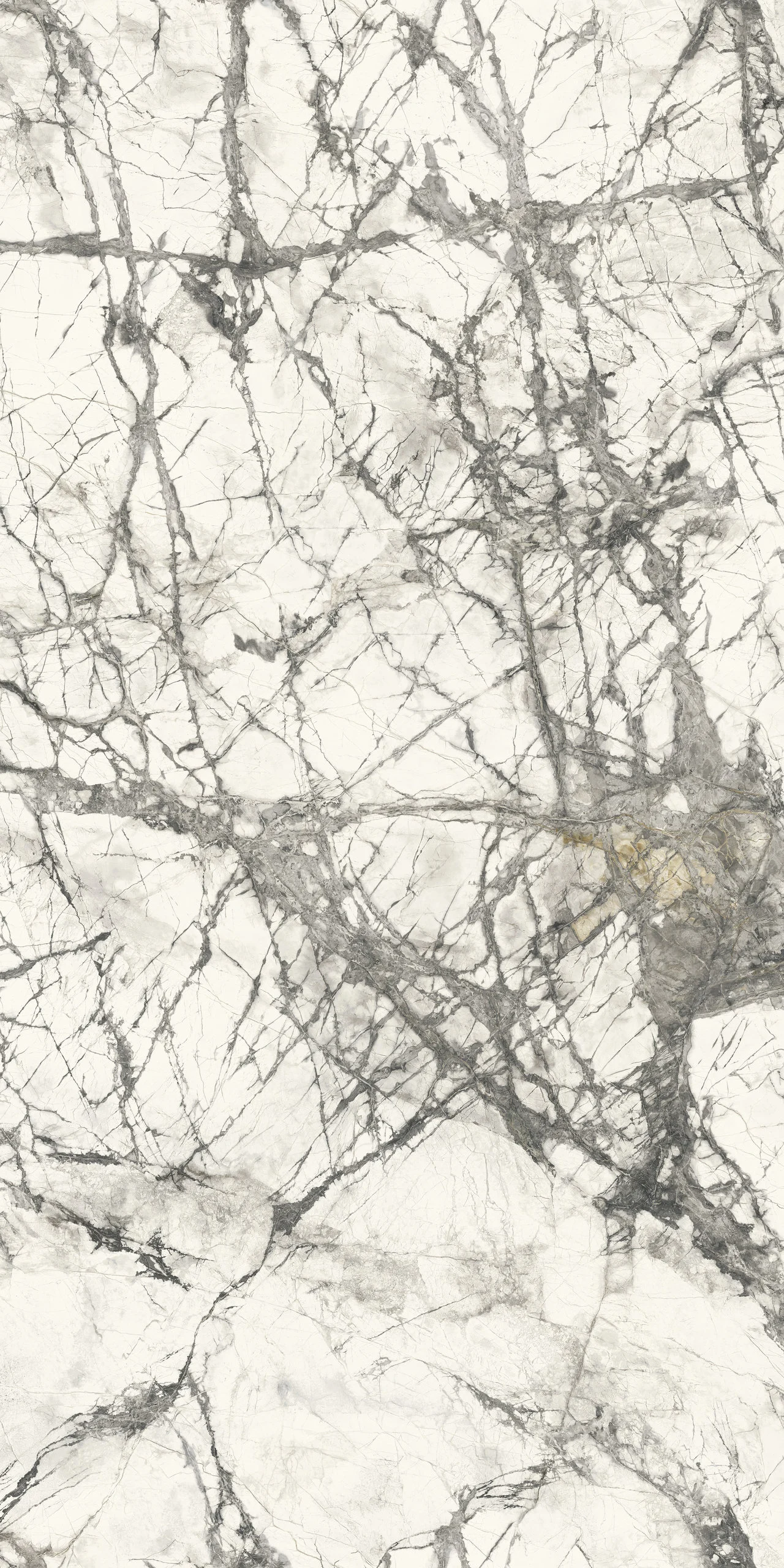 MARMI MAXFINE Calacatta Grey
