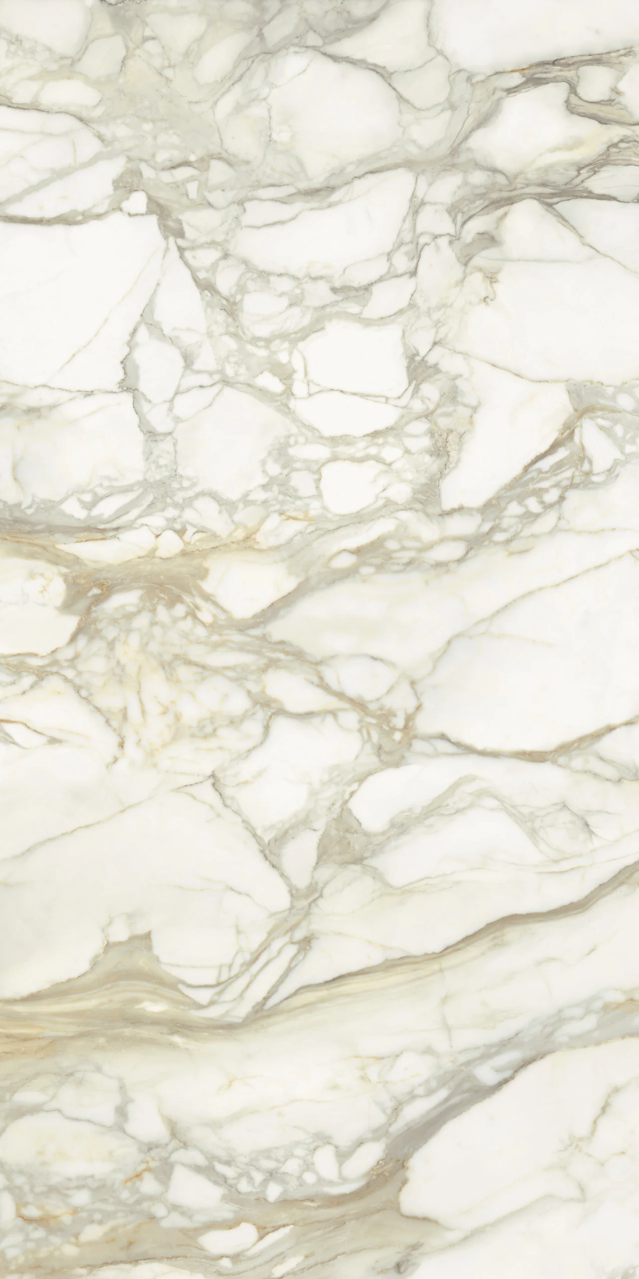 MARMI MAXFINE calacatta-oro