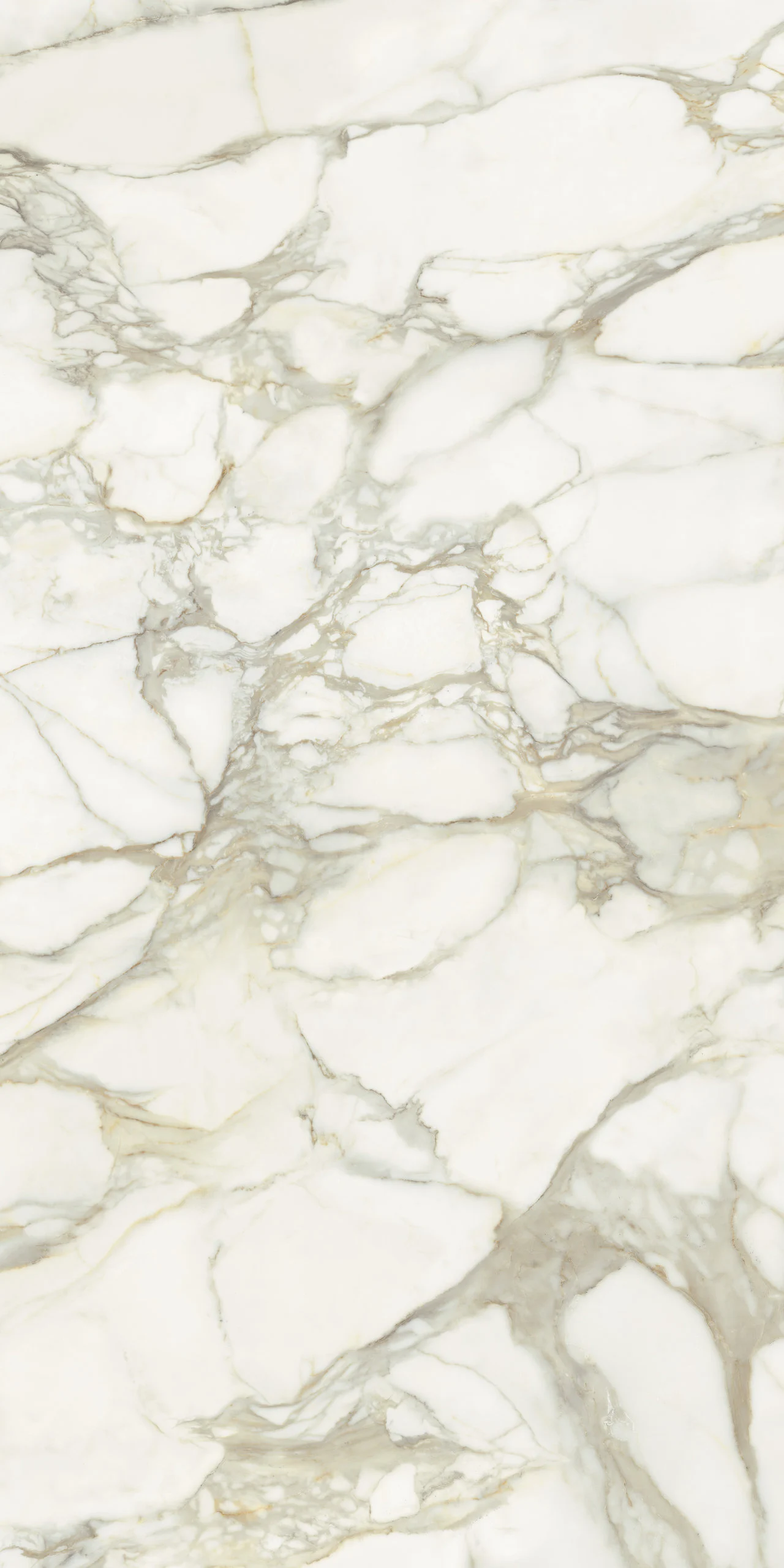 MARMI MAXFINE calacatta-oro