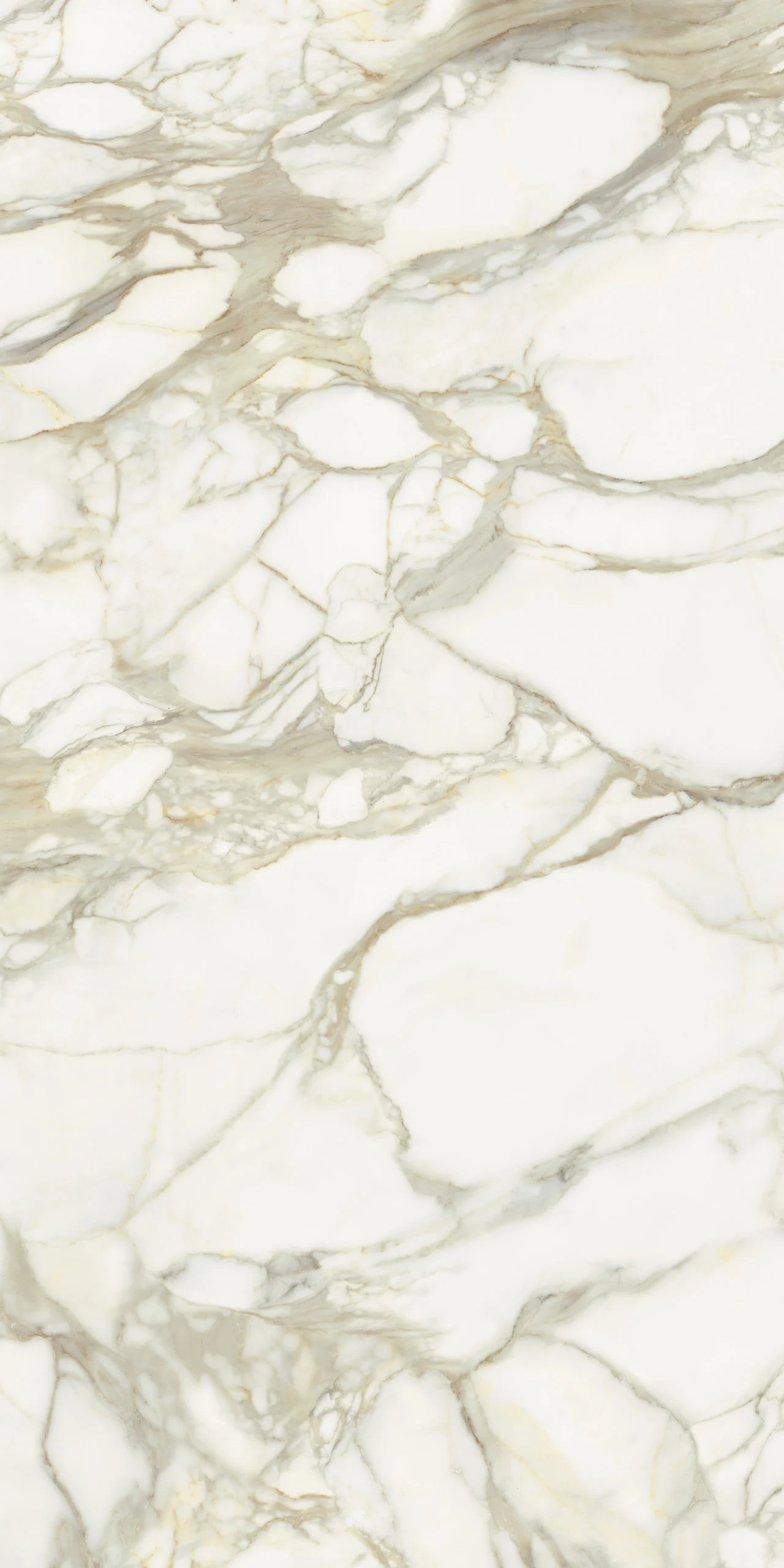 MARMI MAXFINE calacatta-oro