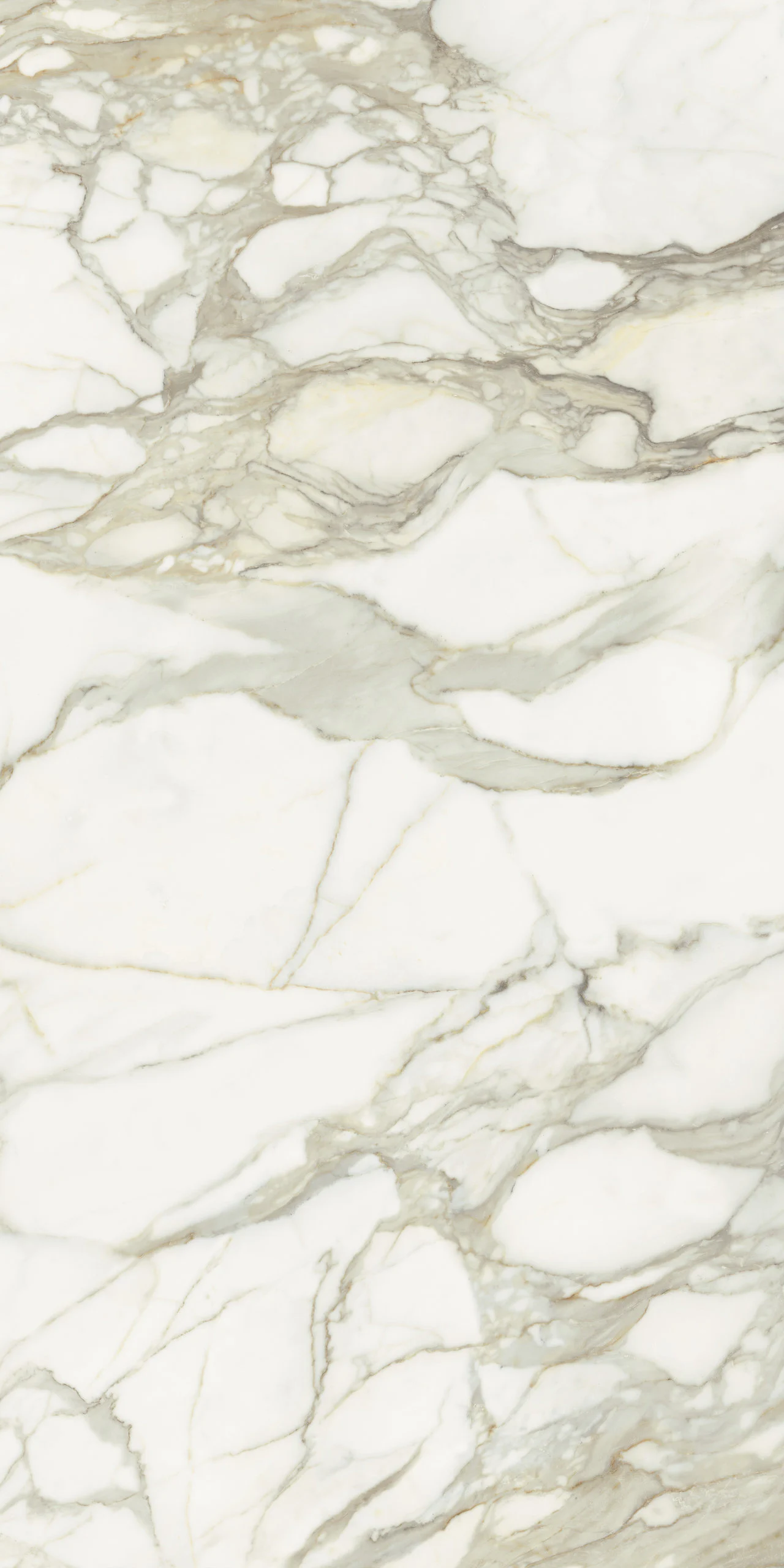 MARMI MAXFINE calacatta-oro