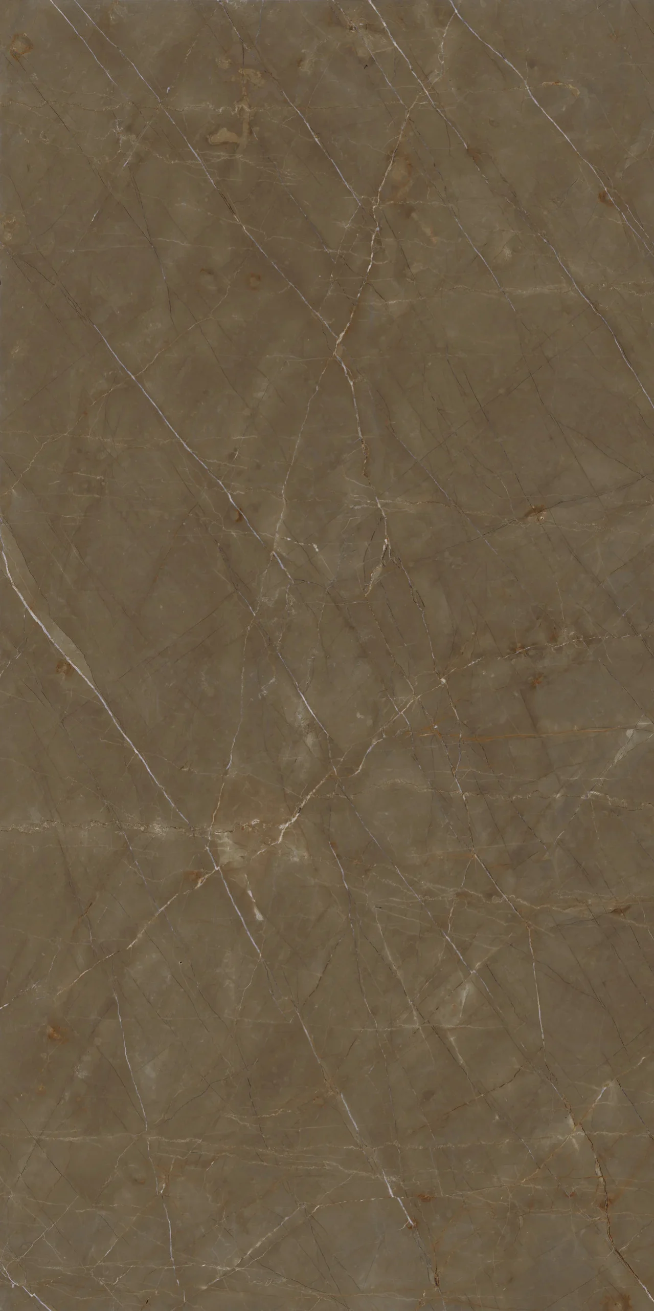 MARMI MAXFINE Gaudi Stone Extra