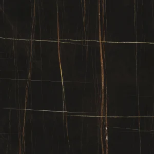 Sahara Noir