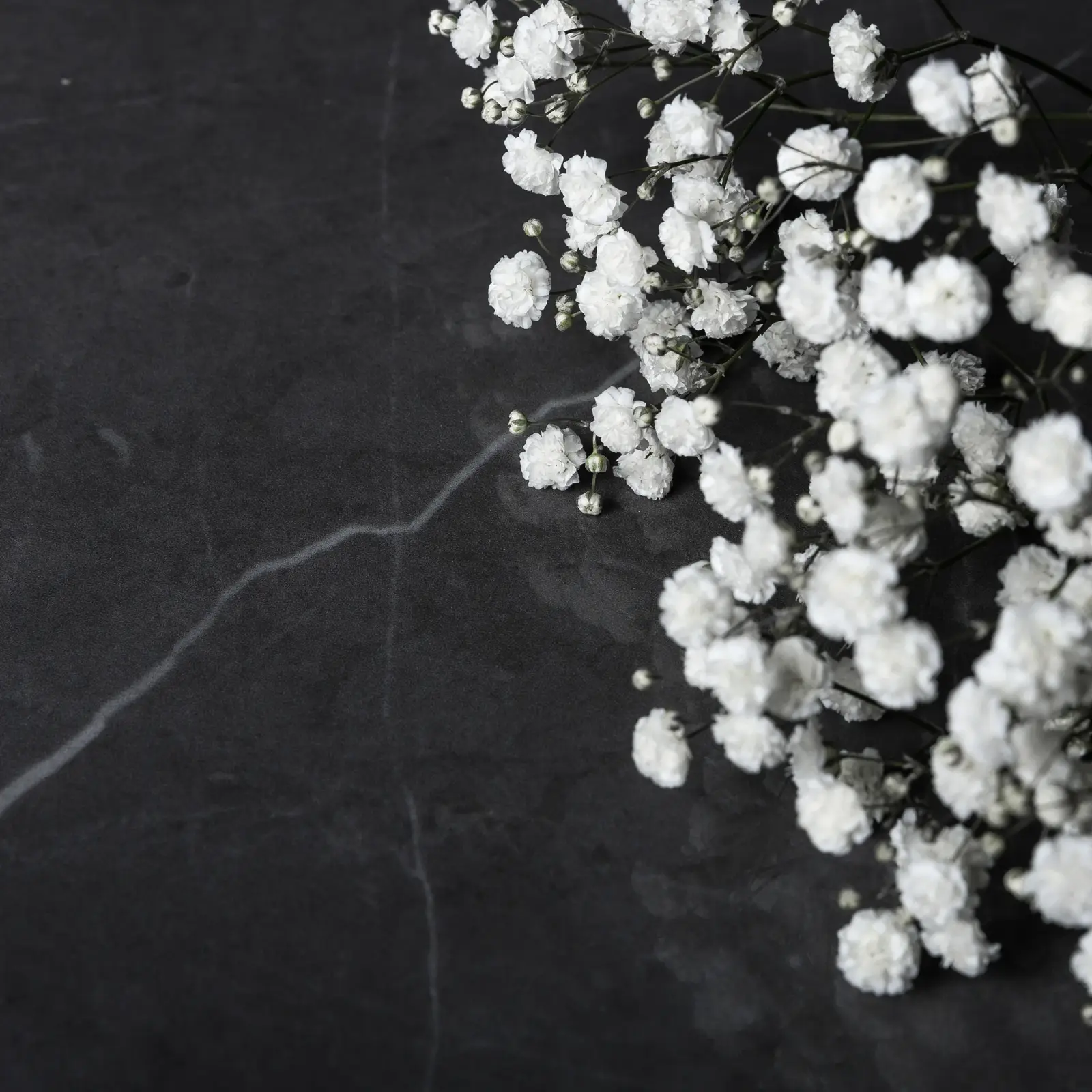 MARMI MAXFINE Stone Grey — фото 1