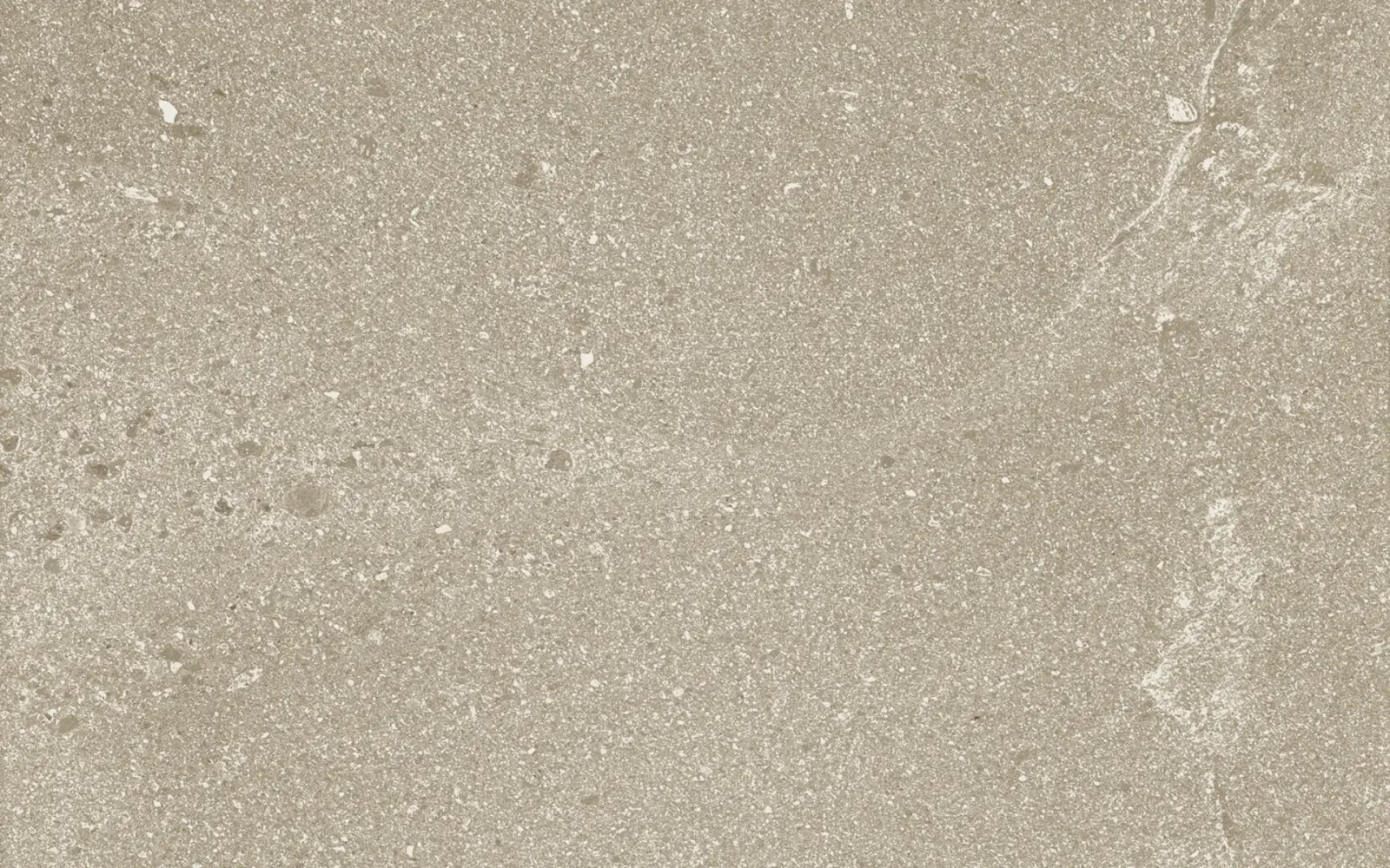 PIETRA DI BASALTO ACTIVE Basalto Beige Active — текстура