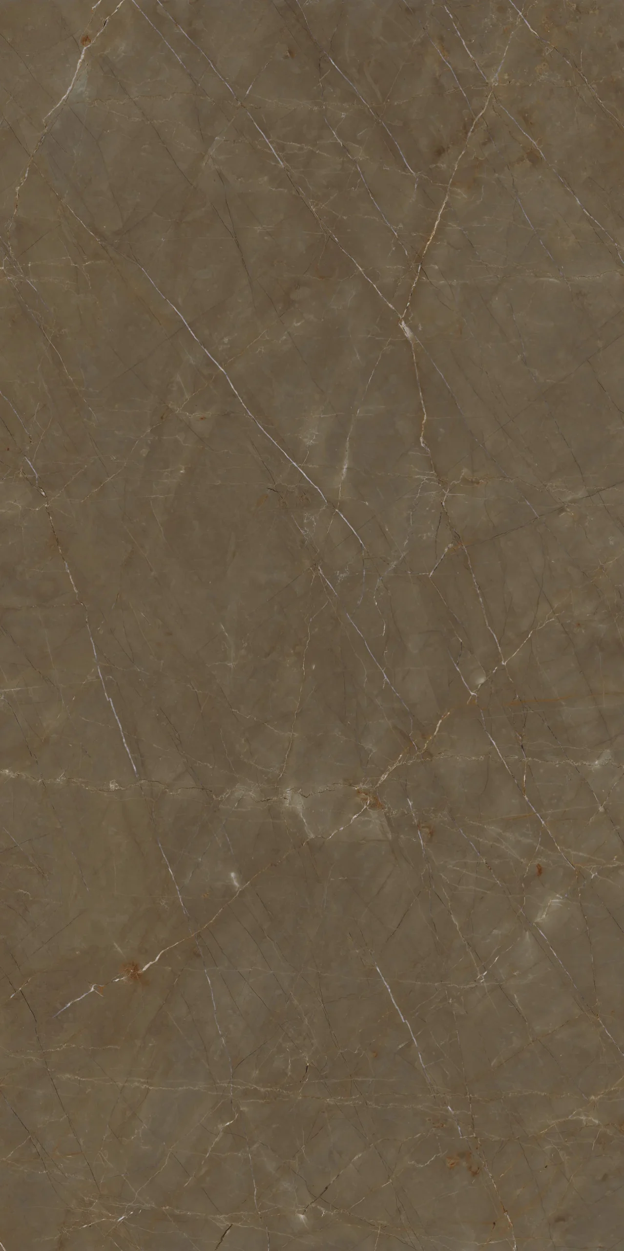SELECT Gaudi Stone Extra