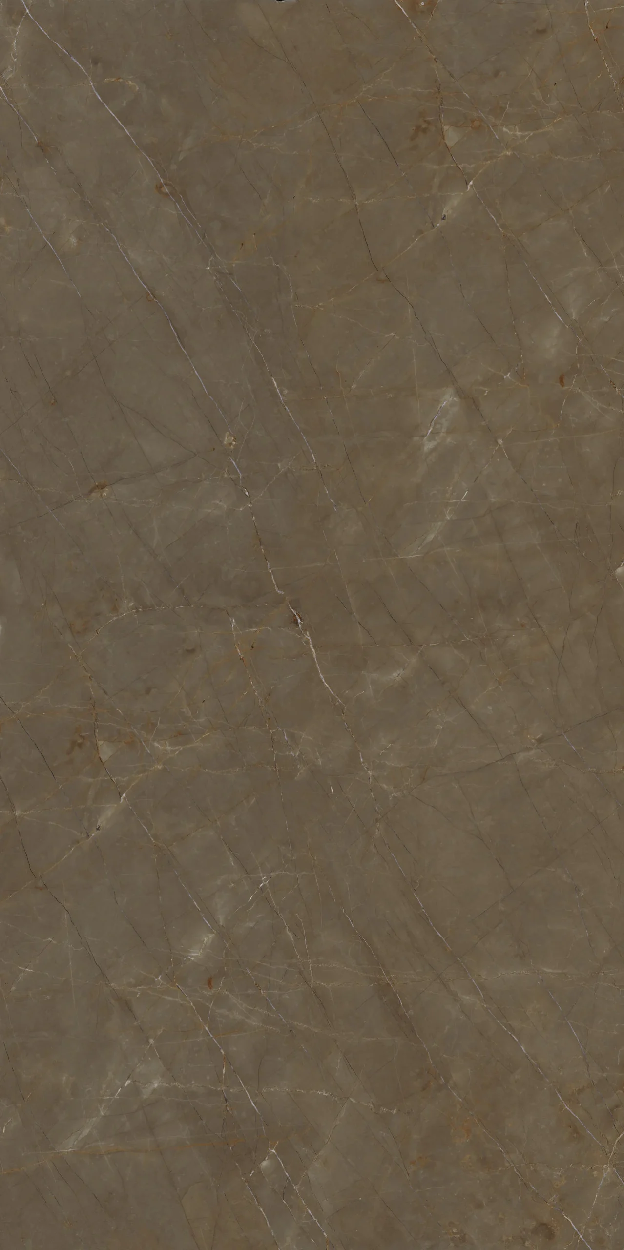 SELECT Gaudi Stone Extra