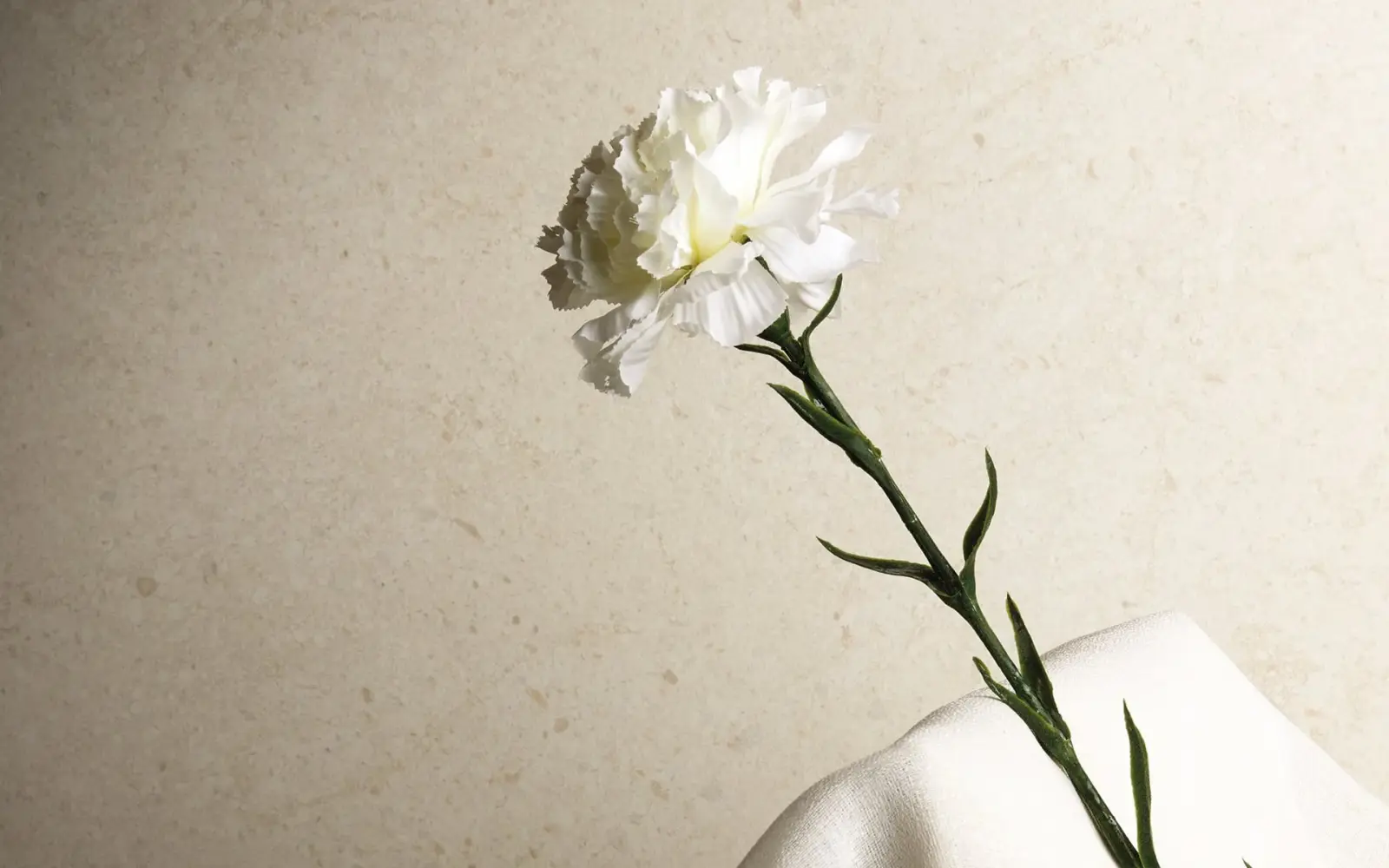 VICTORIAN STONE Moon Cream — фото 1