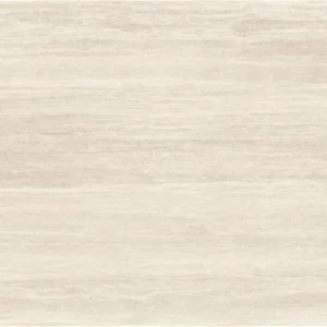 AVIGNON BONE
