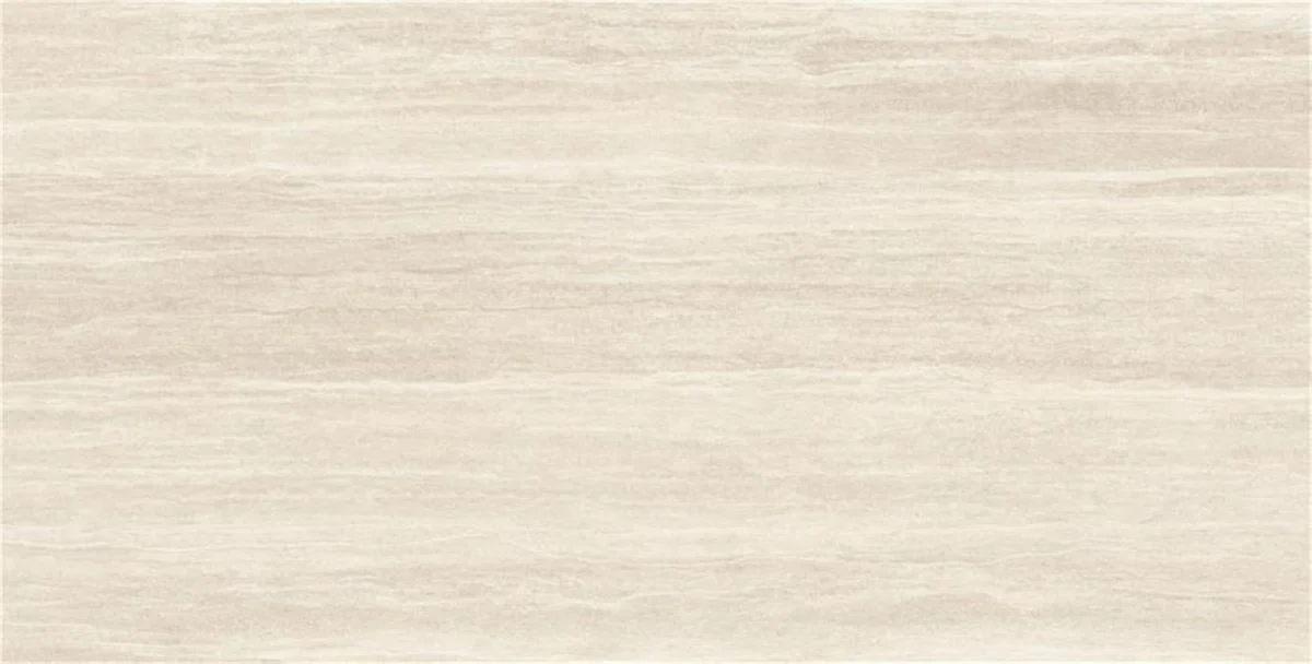 Avignon Bone