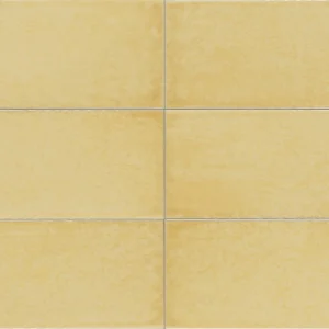 MAIOLICA